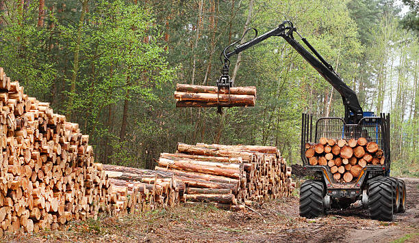 logging image